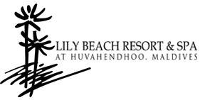 DIDU Wicker Furniture Manufacturer Factory Clients