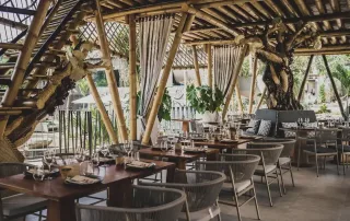 where to buy restaurant dining chairs in bali?